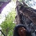 Donna Woods Photo 33