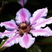 Christopher Moser Photo 32