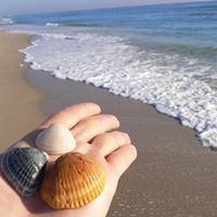 Deborah Clayton Photo 1