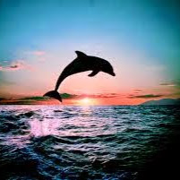 Anna Andersen Photo 26 Anna Andersen Photo 26