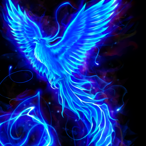 Sean Ferguson Photo 17