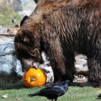 Pamela Moritz Photo 8