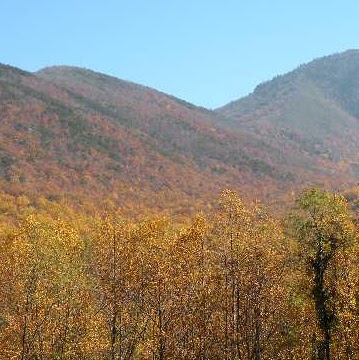 Barbara Wilkinson Photo 47