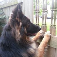 Christine Frederick Photo 11