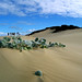 Jeffrey Sands Photo 24