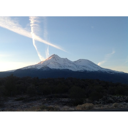 Cindy Schmidt Photo 39