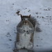 Andrew Parks Photo 17