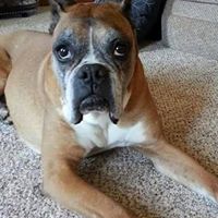 Deborah Moreland Photo 19 Deborah Moreland Photo 19