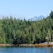 Stephen Peak Photo 19