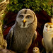 David Sturgess Photo 10