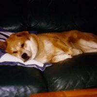 Charles Pickens Photo 21