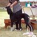 Deborah Ratliff Photo 27