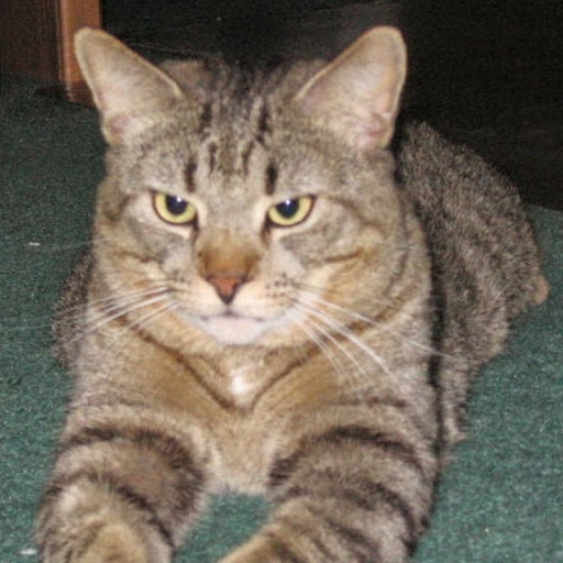 David Crum Photo 36 David Crum Photo 36