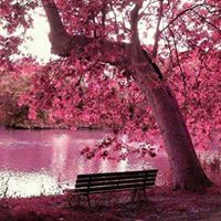 Debra Hooper Photo 20