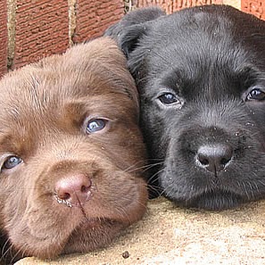 Laura Richter Photo 19