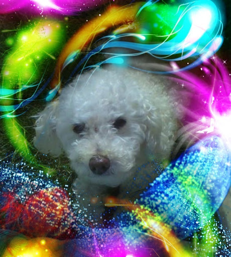 Leah Delaney Photo 20