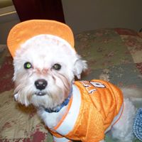 Sherry Nolan Photo 24