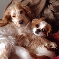 Steve March Photo 14 Steve March Photo 14