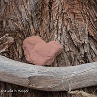 Marcia Cooper Photo 27