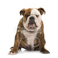 Johnny Kuhn Photo 13