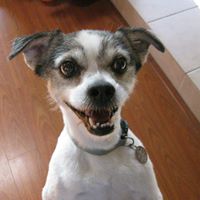 Pratt Buster Photo 3