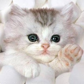 Leah Townsend Photo 16