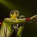 Stephen Chaplin Photo 9