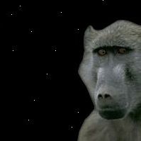 Steve Webber Photo 31 Steve Webber Photo 31