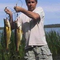 Allan Phipps Photo 1