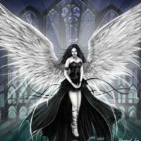 Debbie Beam Photo 15