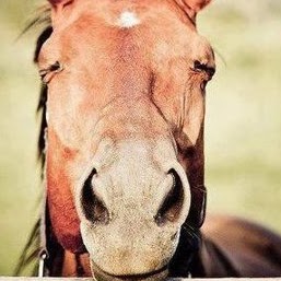 Terri Duncan Photo 34