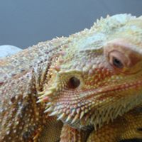 David Hindle Photo 6