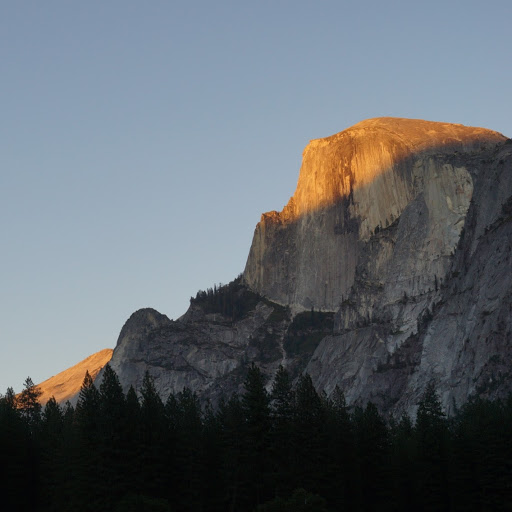 Reggie Watkins Photo 17