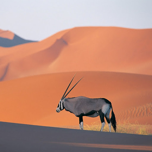 Jane Ferguson Photo 12 Jane Ferguson Photo 12