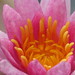 Sarah Watters Photo 8