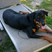 Doris Foster Photo 13