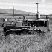 Cindy Andersen Photo 40