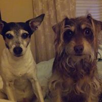 Cindy Stanford Photo 39