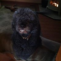 Dale Redding Photo 3