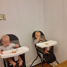 Tammy Stuart Photo 17