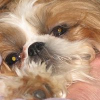 Connie Waldman Photo 2