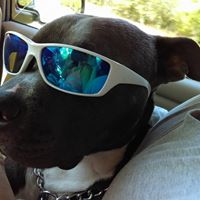 Steven Foster Photo 46 Steven Foster Photo 46