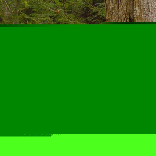 Elizabeth Thurman Photo 22