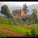 Thomas Greve Photo 17