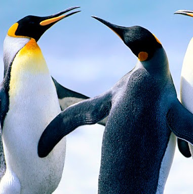 Melanie Sheppard Photo 16