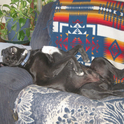 Joann Kelley Photo 32