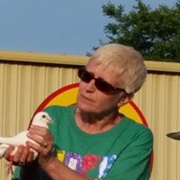 Michele Irwin Photo 21