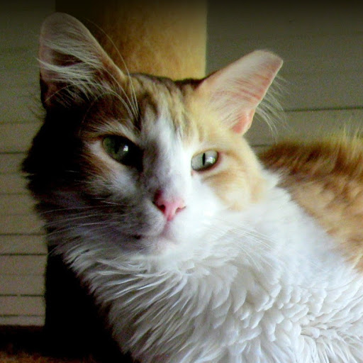 Daniel Coon Photo 26