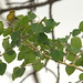Scott Townsend Photo 55