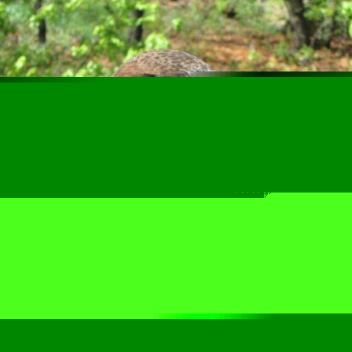 Sharon Owen Photo 36